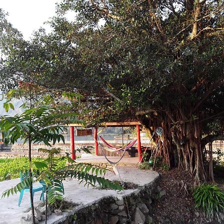 טוק טוק Liberta Homestay מראה חיצוני תמונה