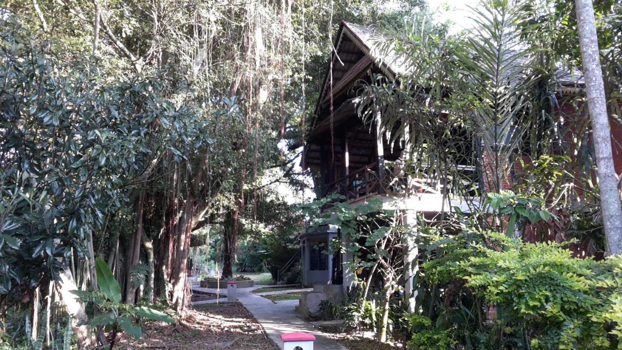 טוק טוק Liberta Homestay מראה חיצוני תמונה