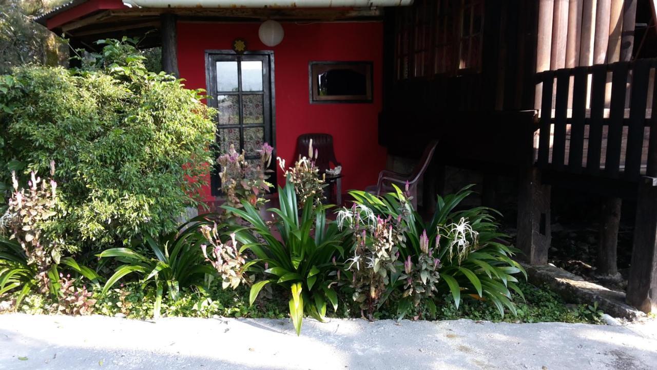 טוק טוק Liberta Homestay מראה חיצוני תמונה