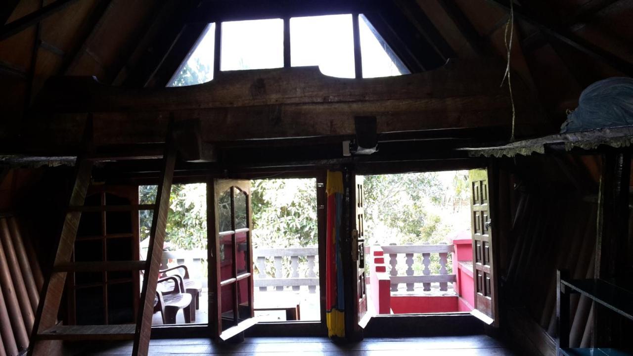 טוק טוק Liberta Homestay מראה חיצוני תמונה